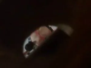 最高級Aidra 美人 女性 エロ 動画 ...