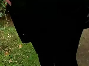 迷惑なセクシーな女の子 エッチ な 動画 ...